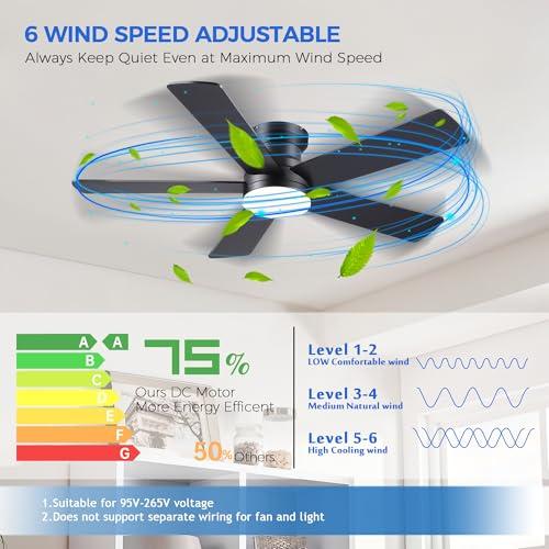 Ayaoty Ceiling Fans with Lights - 48 Black Flush Mount Ceiling Fan Light with 6 Speeds 3CCT Dimmable, Revesible Motor, Low Profile Fan Light for Modern Indoor Bedroom, Kitchen