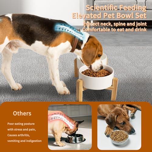Elevated Ceramic Dog Bowl, 3.6 Cups Dog Food and Water Bowl Set with Stand