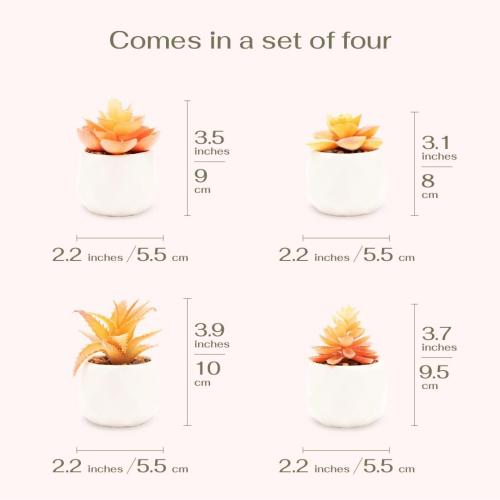 VIVERIE Mini Orange Artificial Succulent in Pots (White Ceramic, 4 Pot Set) Fake Plants for Indoors, Office Home Halloween/Christmas Decor Gifts-Faux Plant Gifts for Women