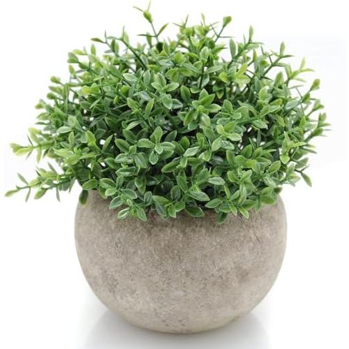 Velener Mini Sage Green Potted Boxwood Topiary Artificial Plants for Home Decor Indoor, Farmhouse House Plant Office Small Desk Shelf Apartment Coffee Bar Bathroom Decor Guest Room, Small Fake Plant