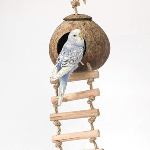 Brown Hide with Ladder Natural Fiber Hanging Birdhouse Shells Breeding Nest for Parrot