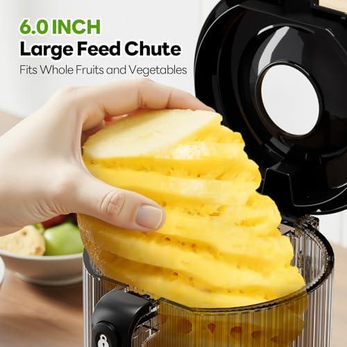 ECOSELF 3-in-1 Cold Press Juicer Machines, 6.0 Feed Chute, 100oz Capacity