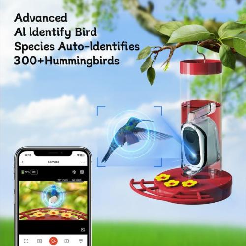 TT Nature Hummingbird Feeder with Camera Solar Powered, AI Identify Cloud Storage Instant Notification, CCPA Data Protection, Outdoor Hanging, Idea Gift for Family Friends (20 Ounces)