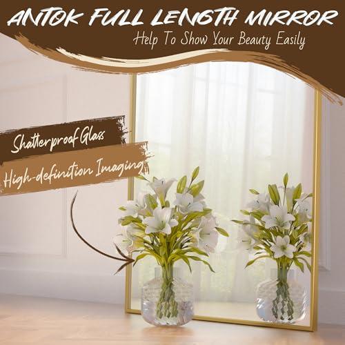 Full Length Mirror, 58x19 Floor Mirror, Arch Floor Standing Mirror Freestanding Arch Full Body with Stand for Bedroom, Hanging Mounted for Living Room Cloakroom, Gold