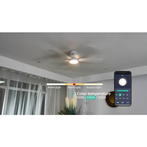 Ceiling Fans with Lights, 52 Low Profile Indoor Ceiling Fan with Light and Remote Control, Dimmable, Noiseless, Reversible, Black Ceiling Fan for Bedroom, Indoor/Outdoor Use