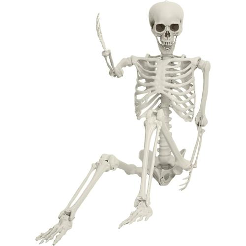 5.4ft Halloween Life Size Skeleton, Posable Halloween Skeleton Life Size Decor, Full Size Skeletons, Outdoor SkeletonHalloween Decorations (White)