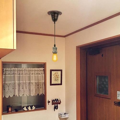 KAYYELAMP 1 Pcs Ceiling Light Conversion Pendant Light Connections Adjusted Wire Length Pearl Black Mini E26 Base Vintage Design Conversion Kit for E26 Ceiling Lamp Fixtures