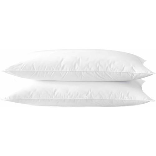 Ultra Thin Flat Soft Bed Pillows Queen Size Set of 2 Pack for Sleeping 20x30, Hypoallergenic Skin Friendly Machine Washable
