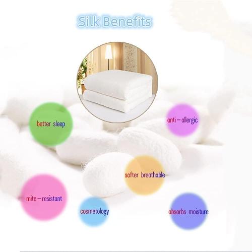 Premium Mulberry Silk Fill 100% Natural 6A Grade Long-Strand Mulberry Silk Filling Hypoallergenic for Stuffing (Mulberry Silk 1IB)