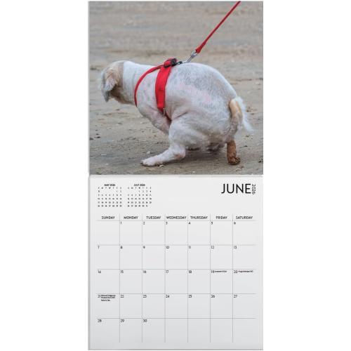 Dog Pooping Calendar 2026, 12 x 12 inch, Funny Gift, White Elephant, Gag Gift, Secret Santa