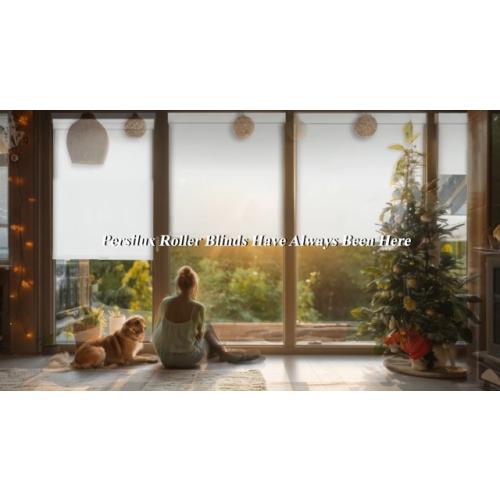 Persilux Blackout Roller Blinds for Windows, Cordless Free-Stop Roller Shades with Valance, Thermal Insulated Fabric Window Blinds, UV Protection Shades for Home and Bedroom (White,36.5 W x 72 H)