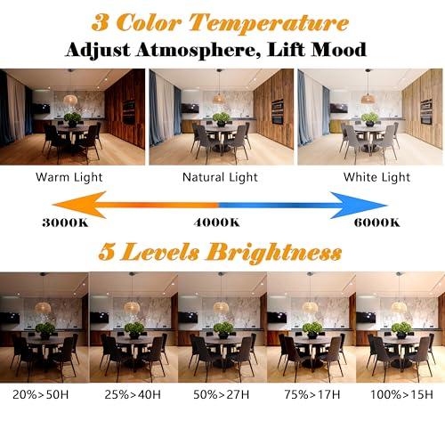 Tan 2 Pack Battery Operated Pendant Light with Remote,Battery Hanging Light Rattan Woven Chandelier No Wiring Needed,Rechargeable Light Bulb 50 Hours Continue Use,Perfect for Kitchen Islands Ceiling Lighting