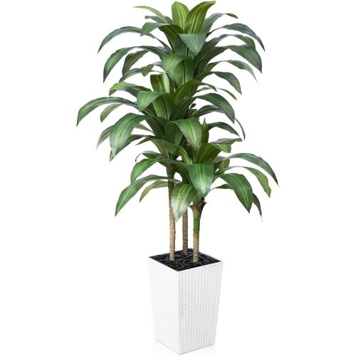 VeriNatural 5FT Artificial Dracaena Tree - UV Resistant Faux Tropical Plant, Potted Fake Tree with Taper Planter & Pebbles - Indoor Outdoor Greenery for Home, Porch, Living Room, Bedroom Decor, VN127