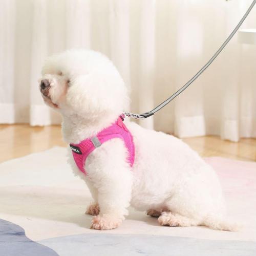Size S PINA Dog Harness for Small Dogs No Pull, Small Dog Harness and Leash Set, No Choke Breathable Mesh Dog Vest Harness, Lightweight Adjustable Small Medium Dog Harness - Easy to Put On and Take Off