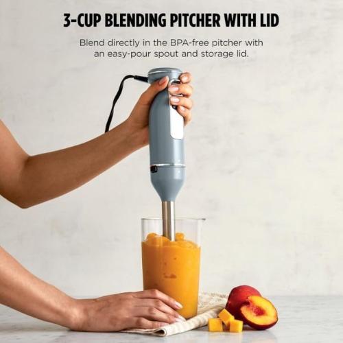 Power Duo Immersion Blender, 650-Watt Motor with 3 Speeds, Handheld Blender and Whisk for Soups, Sauces, and Smoothies