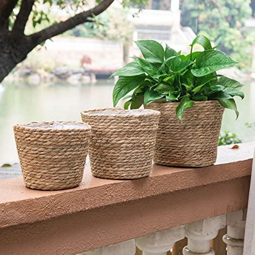 Plant Baskets for Indoor Plants, Seagrass Flower Plant Pots Cover Storage Basket for Organizing,9.8 inch,Brown Set of 3