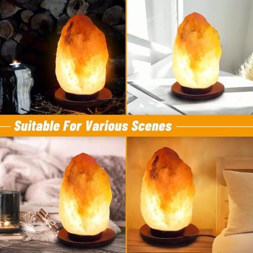 Himalayan Salt Lamp Cord with Dimmer Switch, 6 Feet, E12 Base, 110V, Includes 6 Free 7-15W Bulbs