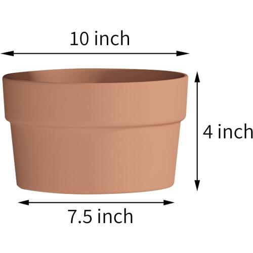 Fcacti 10 Inch Terracotta Shallow Succulent Pot - 2 Pack Large Terra Cotta Clay Pots with Drainage, Round Shallow Terra-Cotta Bonsai Pot for Indoor/Outdoor Plants