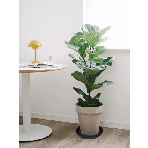 6 Pack of 12 inch Plant Saucer, Heavy Duty Plastic Plant Saucer 12 inch Round, Plant Tray for Pots, Flower Saucers for Indoors, Garden Plate Bowls, Trays for Planter 10/11/12 (Black)