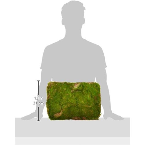 SuperMoss (21508) Preserved Sheet Moss, Fresh Green, 5 Pounds