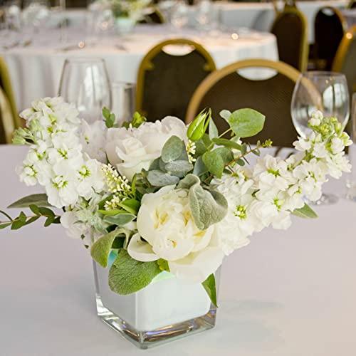 Set of 6 Square Glass Vases 4 x 4 x 4, Clear Flower Vase, Plant Terrarium, Candle Holder for Wedding Centerpiece, Office Decorations, Home Décor, Parties and Events