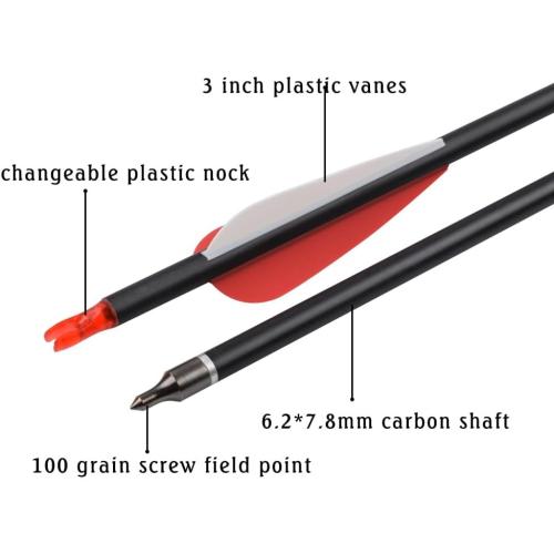Carbon Arrow Hunting Arrows with 100 Grain Removable Tips for Archery Compound & Recurve & Traditional Bow Practice Shooting (Pack of 12)