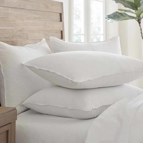 Touch of Down Pillow Queen Found in Holiday Inn Express by IHG Hotels Set of 2, White