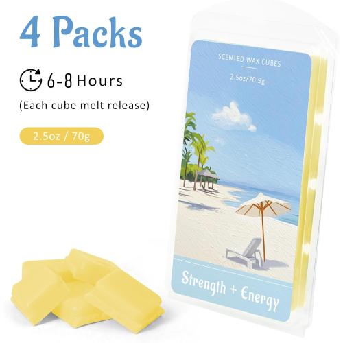 STRN Wax Melts Natural Soy Wax Cubes with Essential Oils - Long Lasting Strong Fragrance Tarts for Warmer, Home, Spa, Gift Use - 4 x 2.5oz Aromatherapy Wax Melts Variety Pack