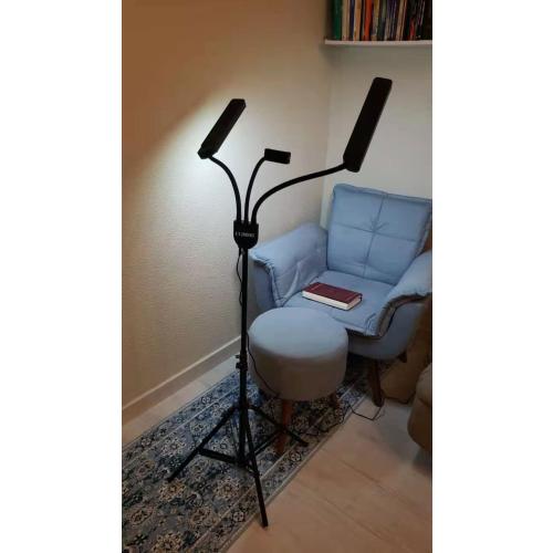 Beauty Light Dual Arm Portable LED Light with Tripod, USB Port, Remote Controlled, Phone Holder, HD Adjustable 3200K-5800K Color Temperature, for Eyelash Extension, Tattoo, Makeup,Live Streaming