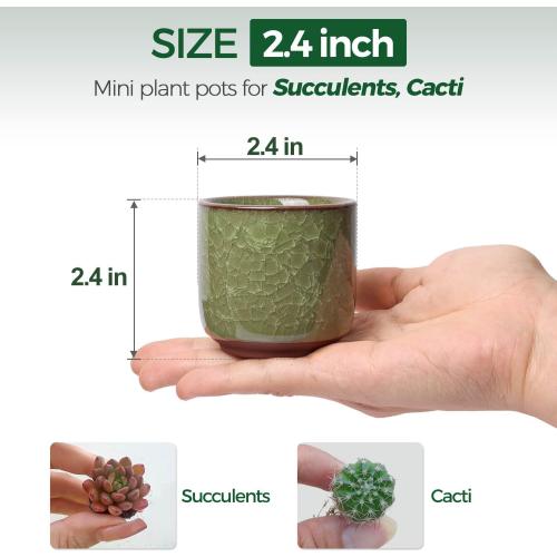 T4U 2.5 Inch Small Ceramic Succulent Planter Pot with Drainage Hole Set of 12, Ice Crack Glaze Plant Container for Cactus, Plant Lover Gifts for Women Mom Coworker Home Office Decor