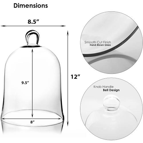 CYS EXCEL Glass Bell Dome Cloche (H:12 W:8.5) | Multiple Size Choices Enchanted Rose Glass Cover | Cake Dessert Display | Terrarium Jar Plant Cover
