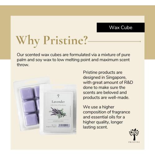 PRISTINE Scented Wax Melts and Candles Set With Tea Light Warmer   Top 4 Popular Scentsy Soy Melts, Pumpkin, Lavender, Cilantro, Coconut | Includes FREE Burner and 2 Tealights