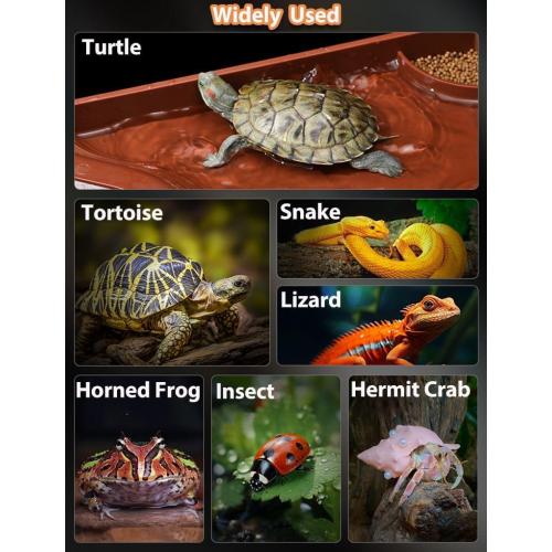 Tortoise Water Bowl with Ramp, 3PCS Leaf Reptile Food Water Bowl Turtle Pool Reptile Water Dish Tortoise Bathing Pool Turtle Soaking Dish Aquarium Habitat Accessories Large
