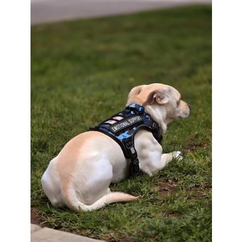 Auroth Tactical Dog Training Harness No Pulling Front Clip Leash Adhesion Reflective K9 Pet Working Vest Easy Control for Small Medium Large Dogs Blue Camo M