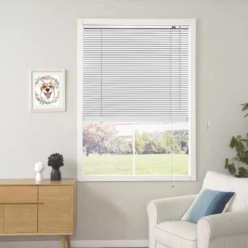 YIIBAII Mini Blinds Suitable for 40 W x 64 H Windows 1 Aluminum Horizontal Venetian Blinds Darkening with Rope and Pole can Mounted Inside or Outside