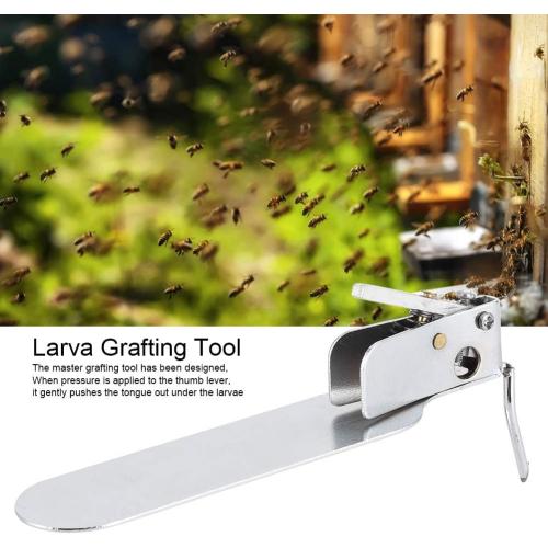 Stainless Steel Beekeeping Grafting Pin Beekeeping Grafting Needle Shift Pin Insect Larva Transferring Tool SingleEnd for Bee Larva Transferring
