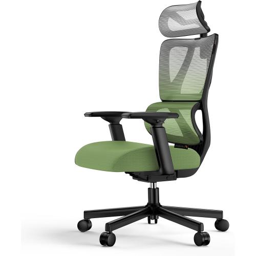ProtoArc Ergonomic Office Chair, EC100 Big and Tall Desk Chair with Wintex Breathable Mesh, 30% Thicker Saddle Spring Cushion, Lumbar Support, Adjustable Headrest, Armrest - Gradient Green