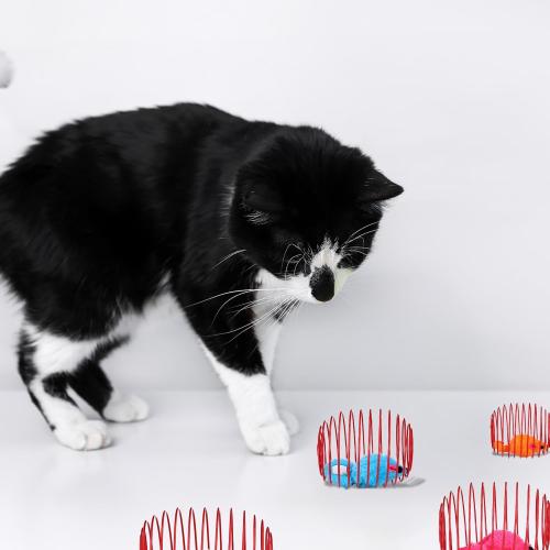 5Pack Cat Spring Toys with Plush Balls, Colorful Wire Springs for Cats with Steel Wire Springs (Random Colors)