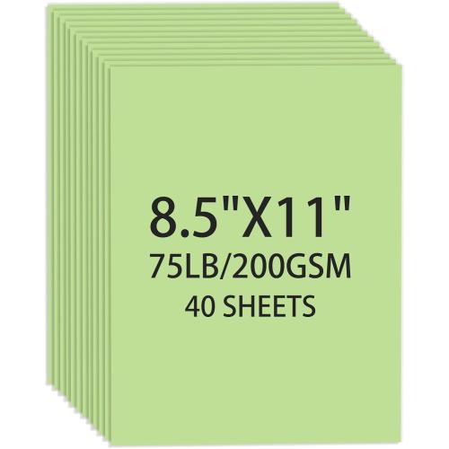 Cardstock 8.5 X 11, 40 Sheets Light Green Card Stock, 75lb/ 200gsm Pale Green Copy and Printer Paper For Art, Drawing, Invitations, DIY Cards, Watercolor, Craft, Construction, School & Office Supplie