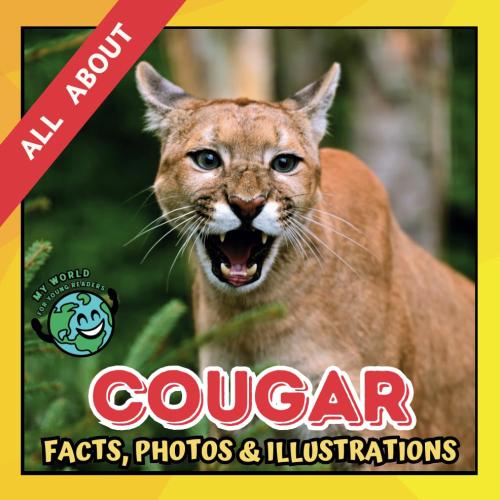 All about Cougar | Facts, Photos and Illustrations: A Picture Book for Kids and Toddlers | Screen-Free Infotainment (MY WORLD for YOUNG READERS)