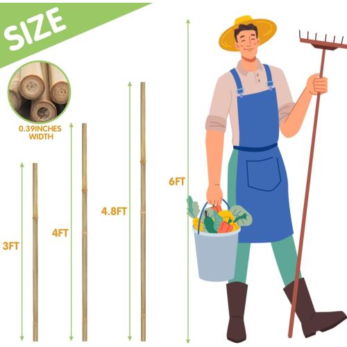 Plant Stakes,4.8FT Longer Sturdy Natural Bamboo Garden Stakes,GAGINANG 20Pcs Bamboo Sticks Trellis Support for Tomato, Vegetables Beans Trees Climbing Plants