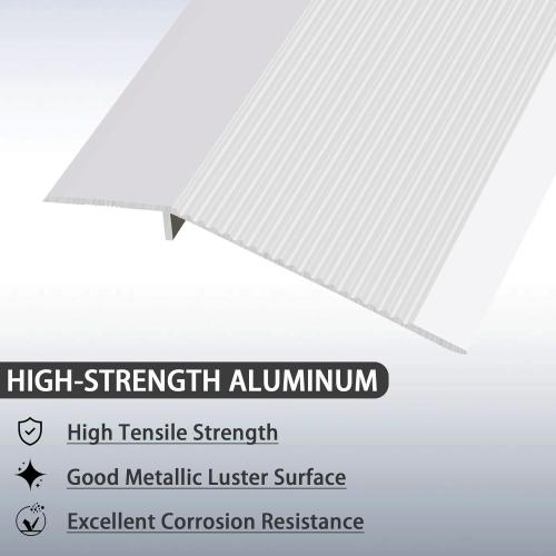 Lunghaa Aluminum Floor Transition Strip, Threshold Reducer for Doorway Ramp Tiles Laminate Planks, Bridge The Height Gap Between 0.3-1.6 inches (4.2 ft x 3.9 in, Matte Silver)