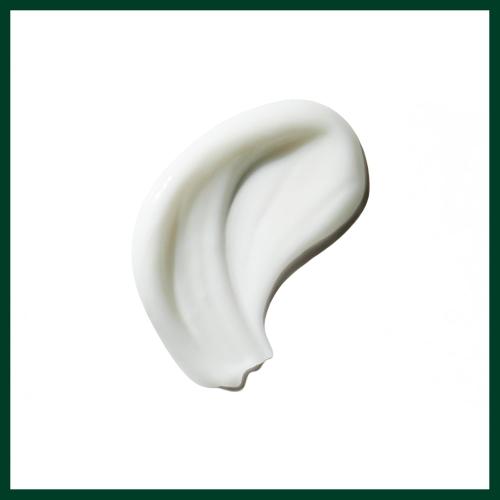 Aveda Be Curly Advanced Curl Enhancer Hair Styling Cream | Defines Curly and Wavy Hair | Hydrates, Reduces Frizz, Adds Shine | Air Dry or Blow Dry | Silicone Free | 98% Naturally Derived*