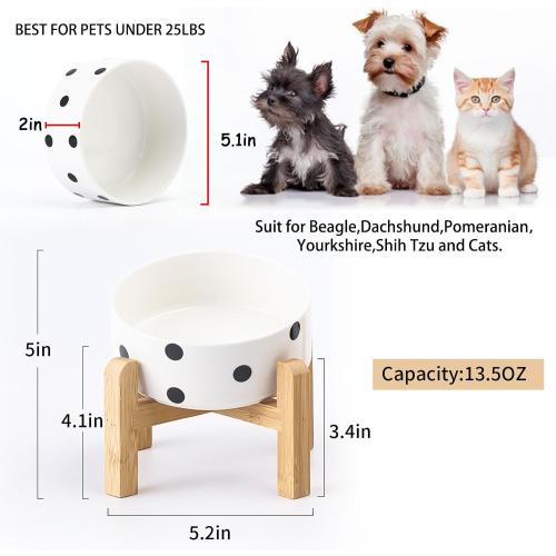 Petygooing Raised/Elevated 15°Slanted Ceramic Dog Bowl for Small Breeds,Tilted Anti Slip Pet Bowl,Food Water Dish with Stand for Cats and Small Dogs Puppy 13.5 OZ (5.1In / 1.7 Cups) Black Dot