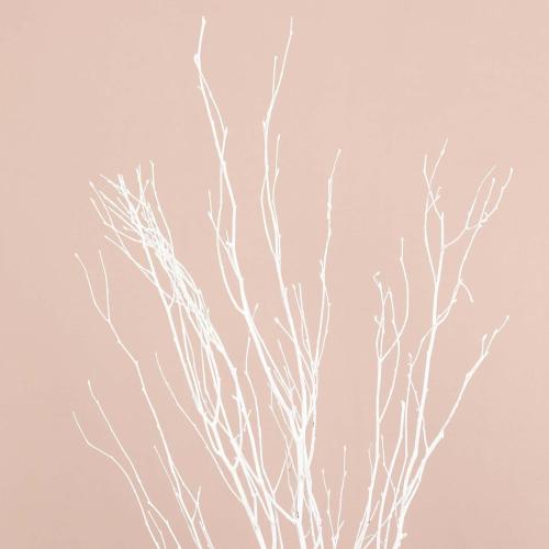 Tableclothsfactory 6 Pack White Decorative Birch Tree Branches, Extra Long Natural Dried Willow Twigs Sticks Vase Fillers - 46 for Party & Decorations