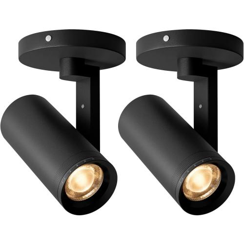 Aisilan Adjustable Dimmable Beam Angle 10-55° Zoomable Spotlight Indoor, 12W White LED CRI 97 Ceiling Spotlight Fixture, 2 Pack 3000K Modern Accent Lighting for Hallway, Living Room, Mural