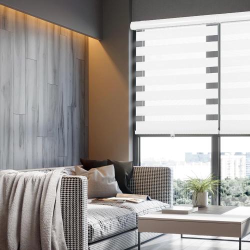 Cordless Zebra Blinds for Windows, 18 W x 72 H Zebra Roller Shades with Valance Free Stop Zebra Roller Shades, Light Control Window Treatments Dual Layer Sheer Blinds for Day and Night