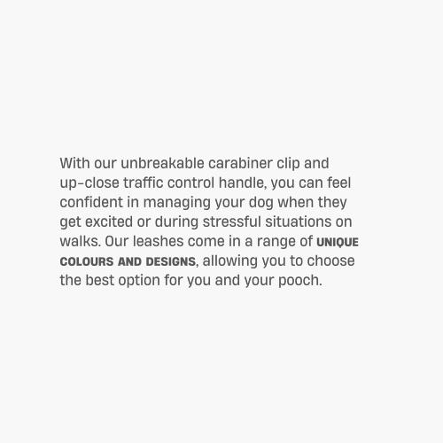 DF Co. Classic Dog Leash | Strain-Free, Shock Resistant, Prevents Jolts, Maintain Control | Durable Waterproof Material with Heavy Duty Clip & D-Ring | Green Camo, Size Regular