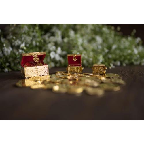 EHV 24K Gold Plated Wedding Unity Coins with Decorative Display Case, Treasure Box, Classic Arras Ceremony Souvenirs, Beautiful Gift Set Marriage Matrimoniales Boda (San Benito)