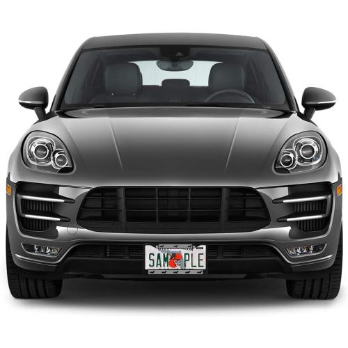 Fastasticdeals Metal Insert License Plate Frame Dachshund Black Weatherproof Car Accessories Chrome 2 Holes Solid Insert black ?